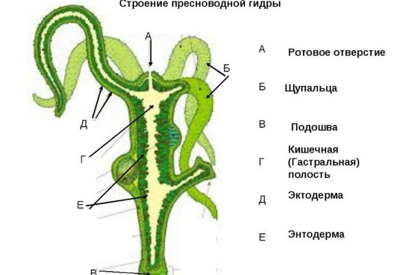 Кракен сайт даркнет зеркало